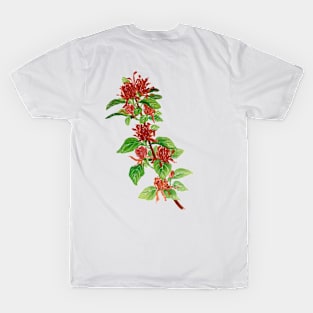 December 30th birthday flower T-Shirt